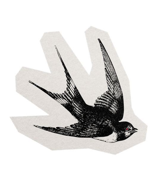 Drunken Swallows Rose